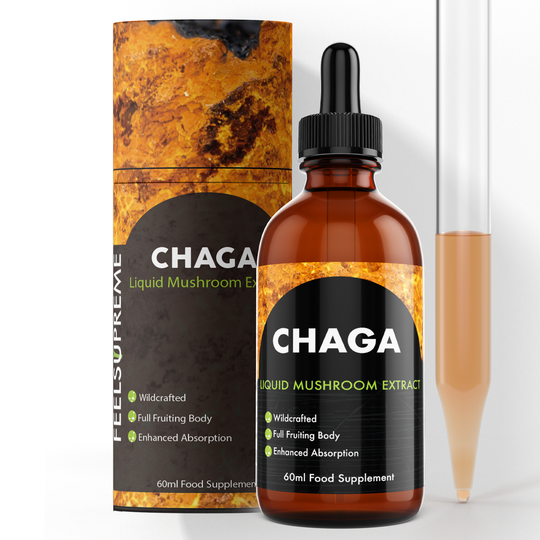 Chaga Mushroom Liquid 1 Bottle