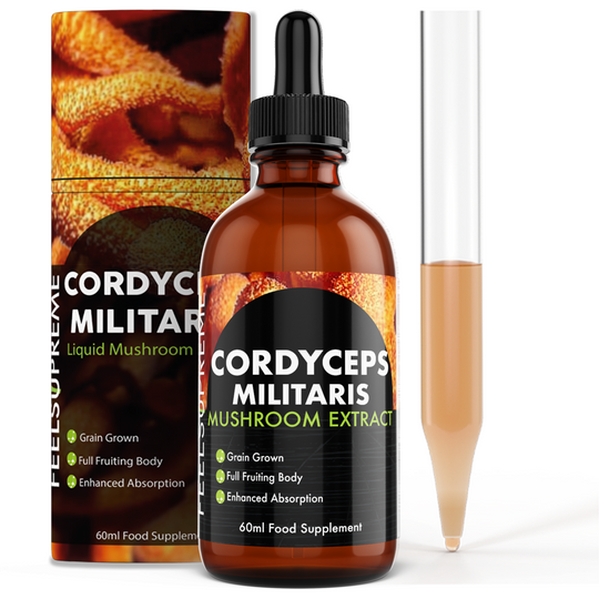 Cordyceps Militaris Mushroom Liquid 3 Bottles 15% Saving