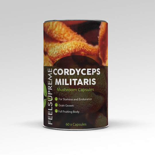 Cordyceps Militaris Capsules 3 Packages 15% Saving