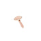 Harmony Face Roller