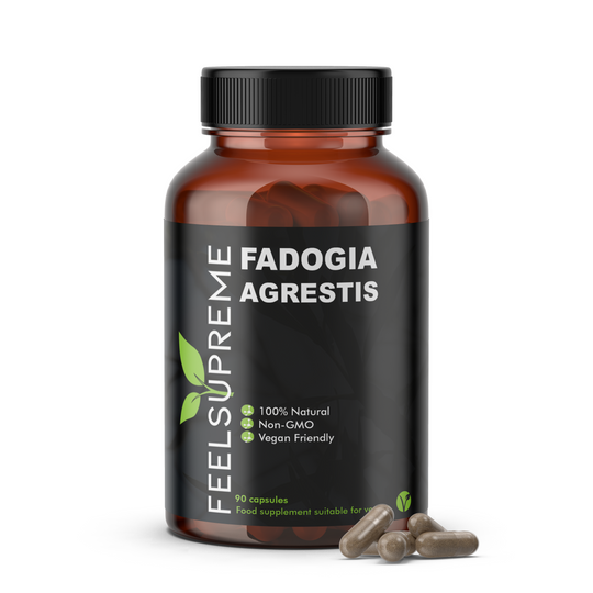 Fadogia Agrestis 1 Bottle