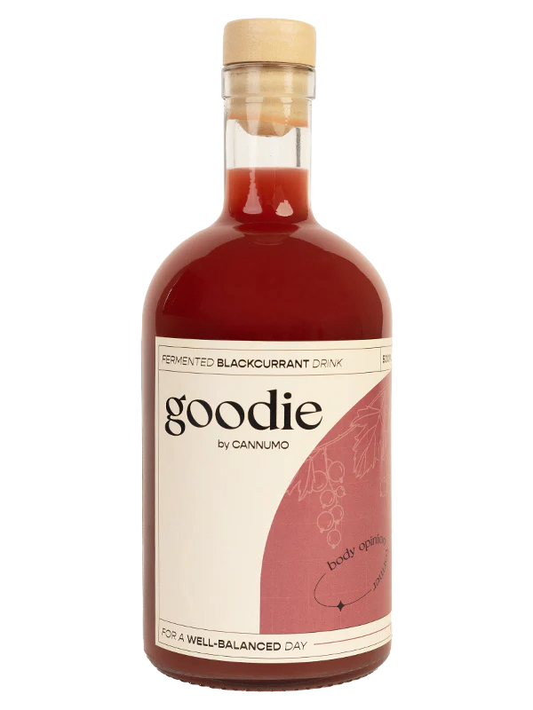 Goodie - fermented black currant drink case