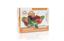 Fagaflex¨ 45 x 500mg